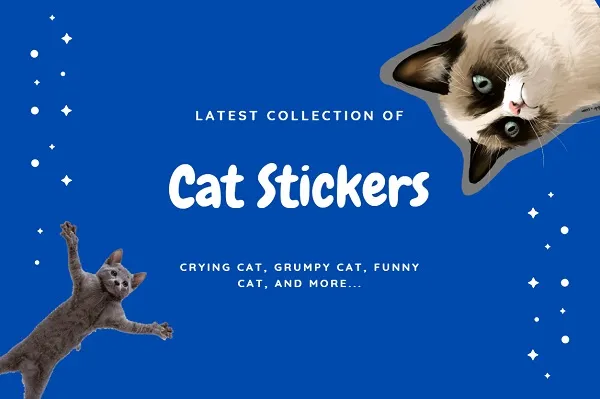 cat-telegram-stickers-pack